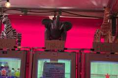 WhatsApp-Image-2025-07-04-at-16.24.29